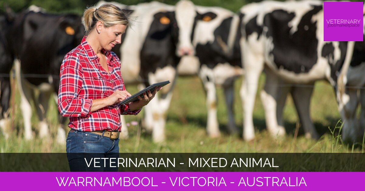 Veterinarian - Mixed Animal