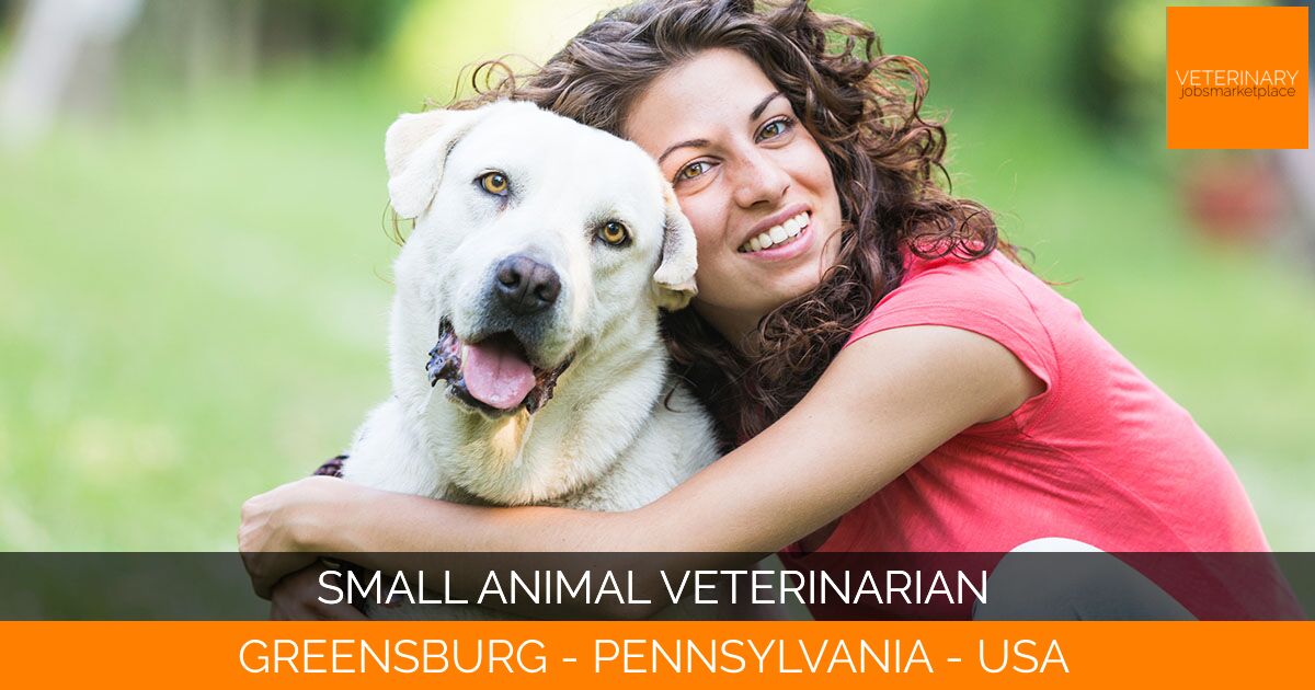 Small Animal Veterinarian