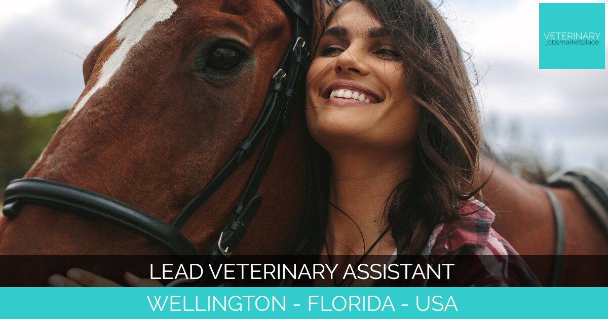 Lead Veterinary Assistant