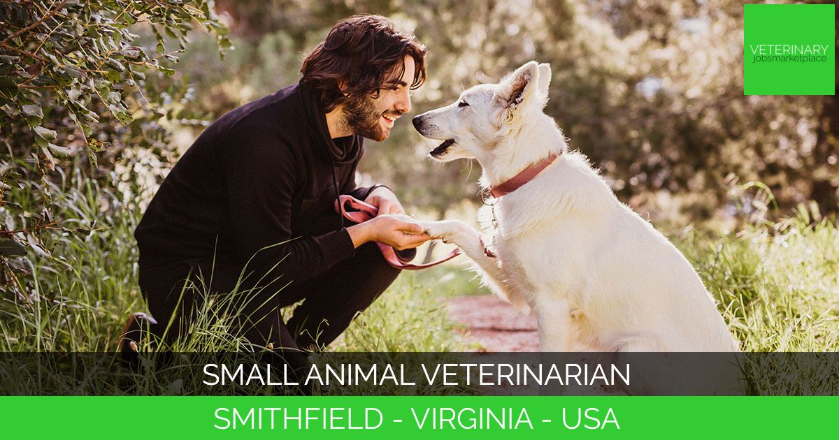 Small Animal Veterinarian