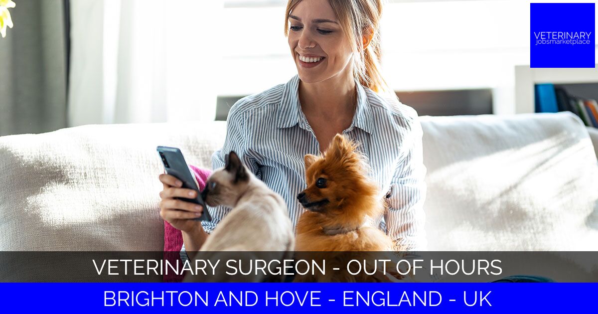 Veterinary Surgeon - Out of Hours