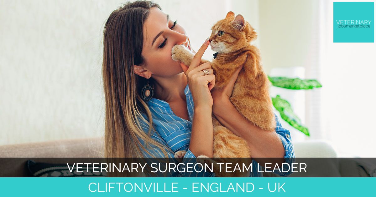 Veterinary Surgeon Team Leader