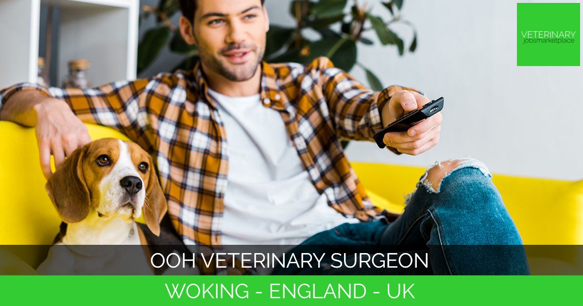 OOH Veterinary Surgeon