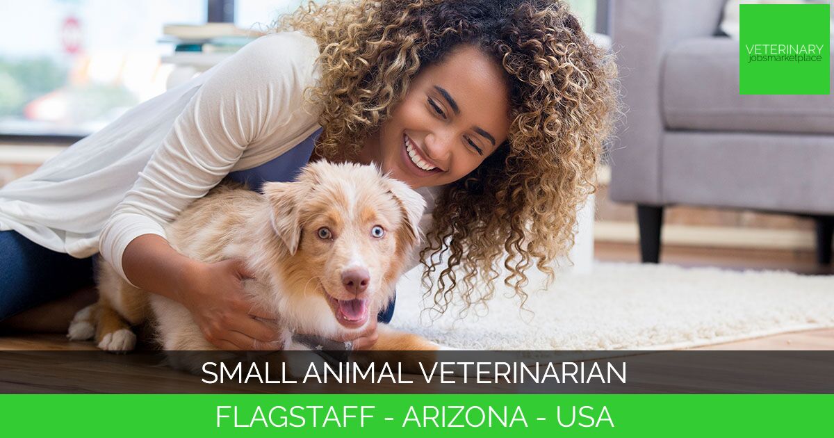 Small Animal Veterinarian