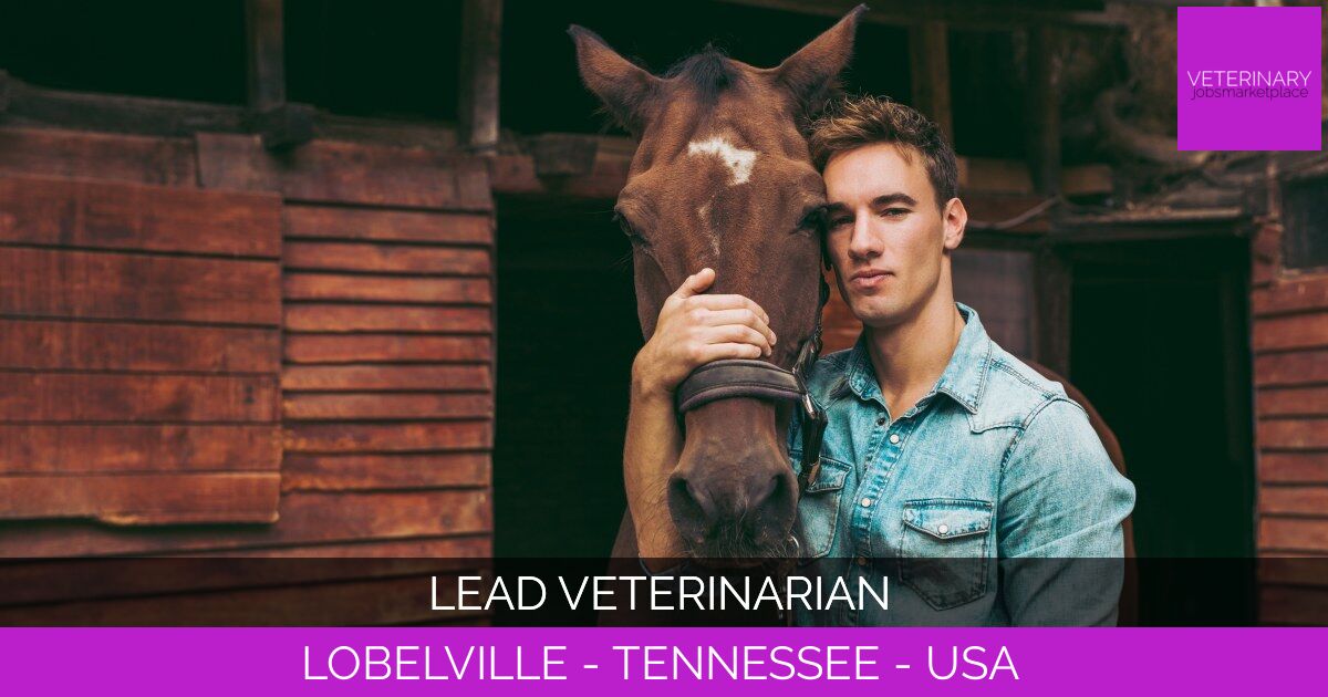Lead Veterinarian