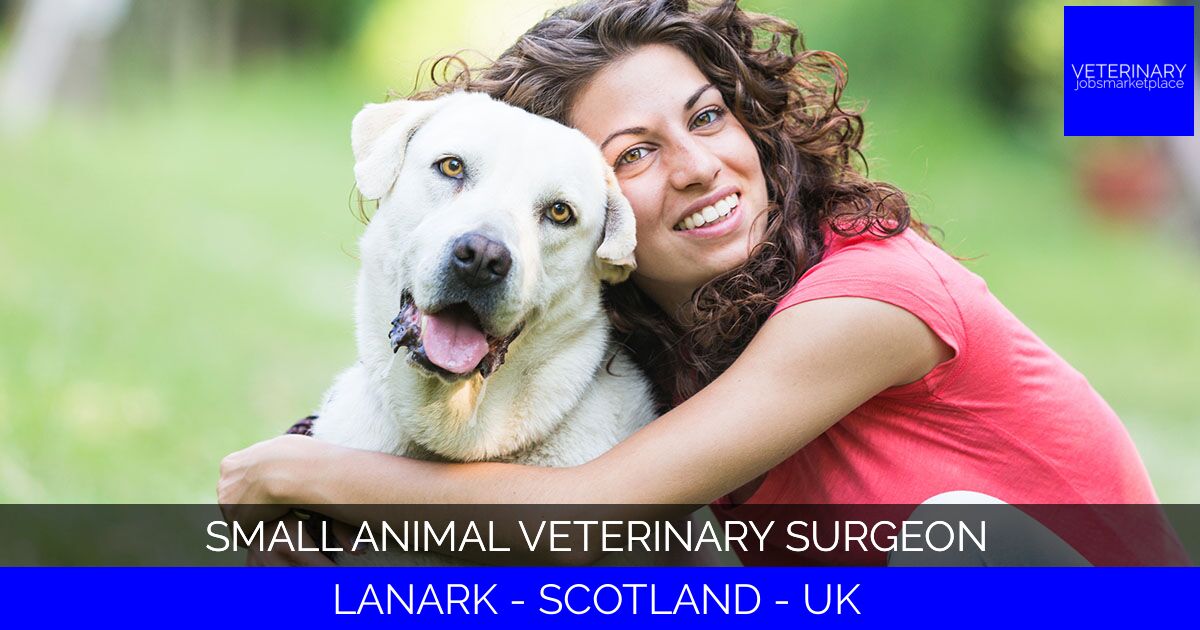 Small Animal Veterinary Surgeon