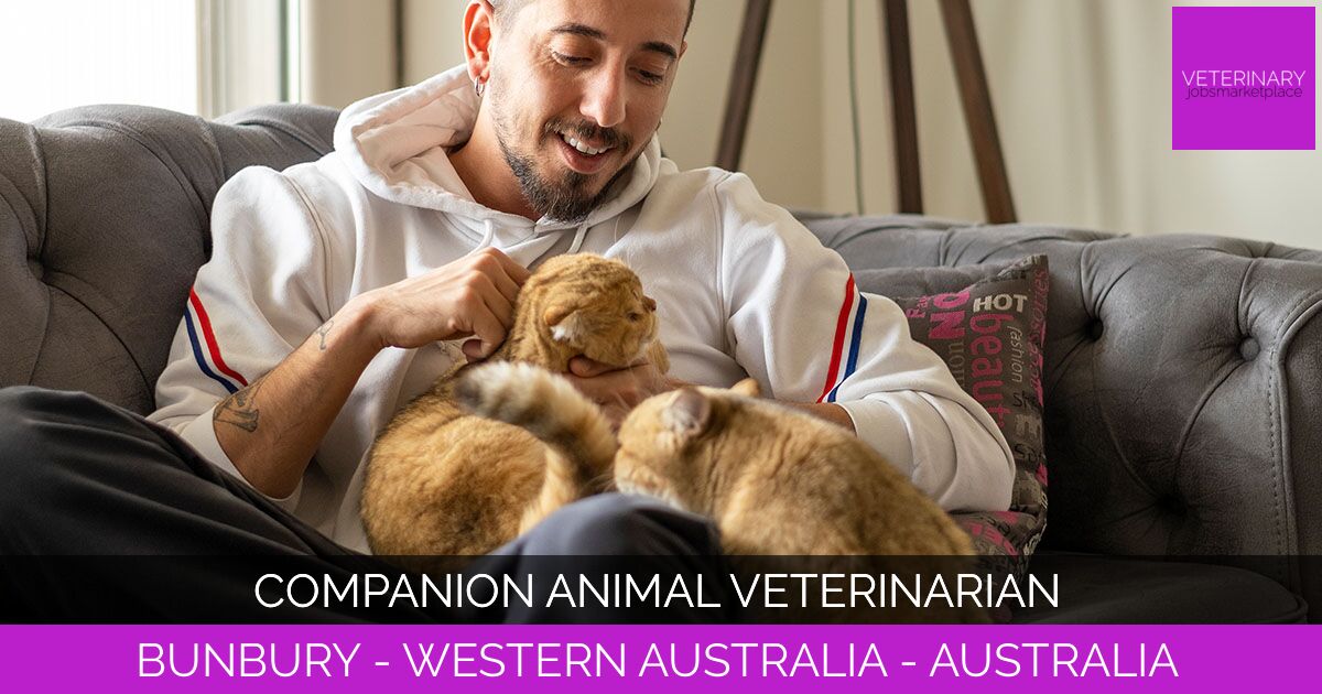 Companion Animal Veterinarian