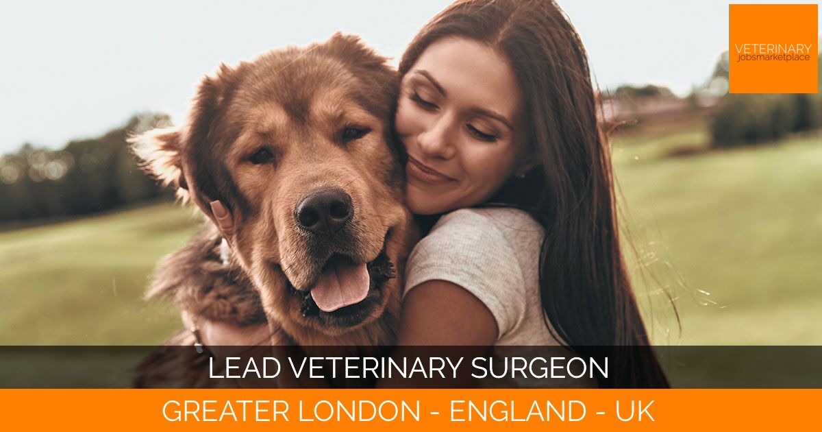 Lead Veterinary Surgeon