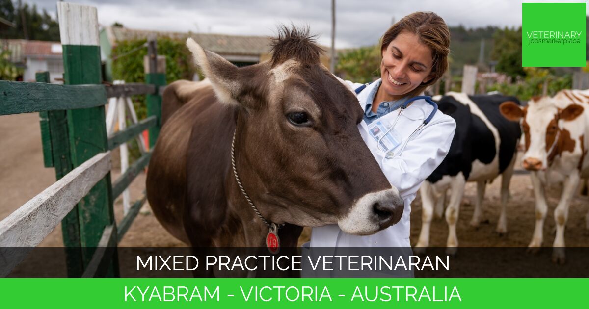 Mixed Practice Veterinaran