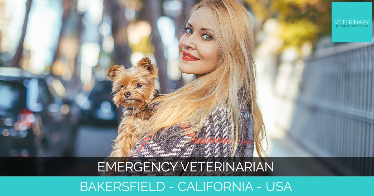 Emergency Veterinarian