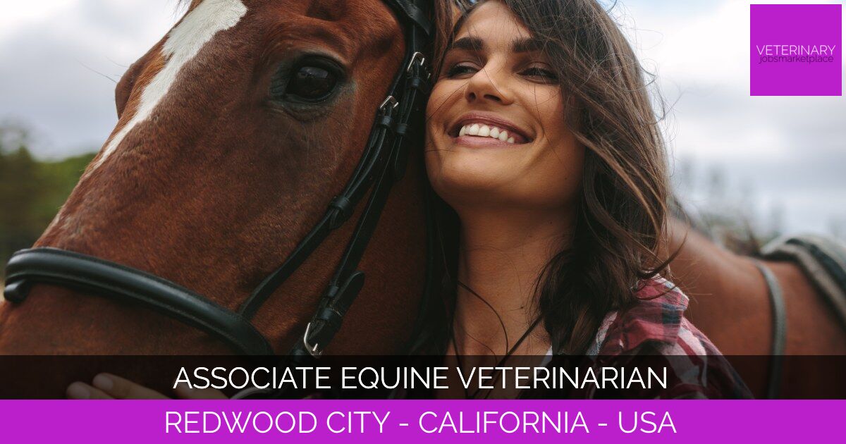 Associate Equine Veterinarian