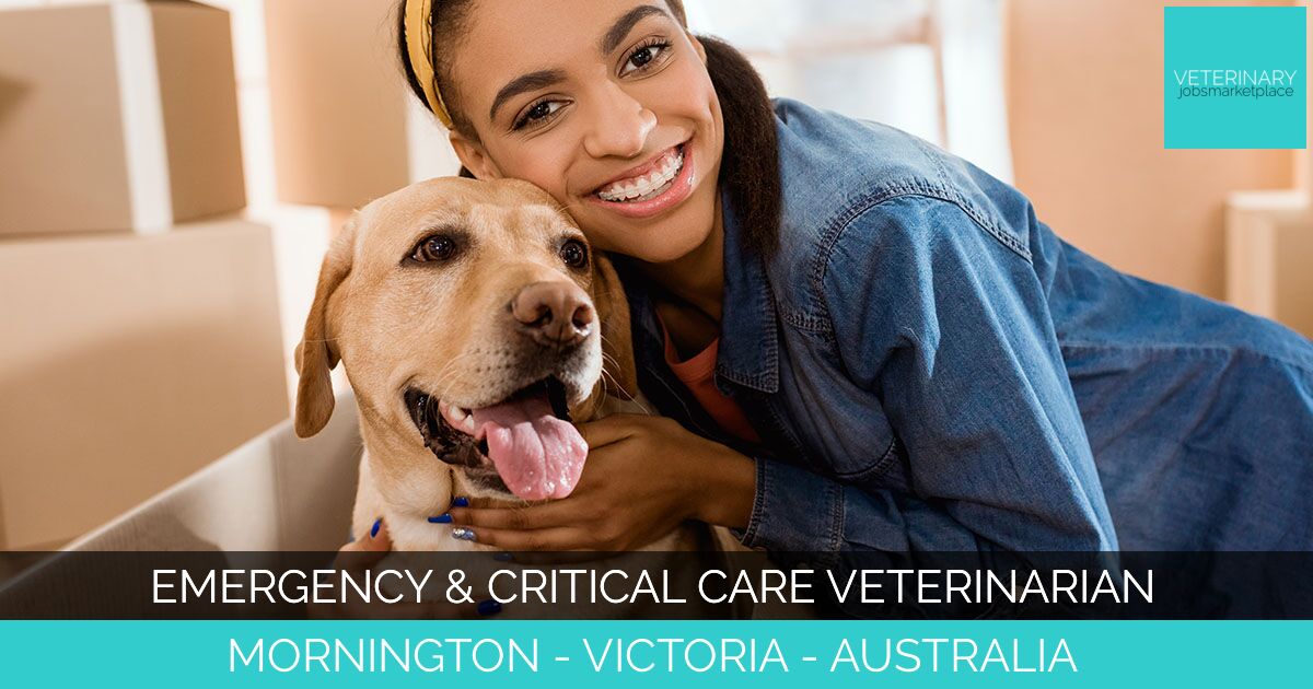 Emergency & Critical Care Veterinarian