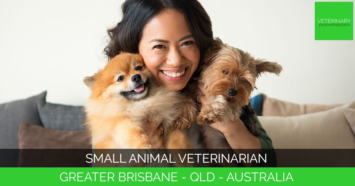 Small Animal Veterinarian