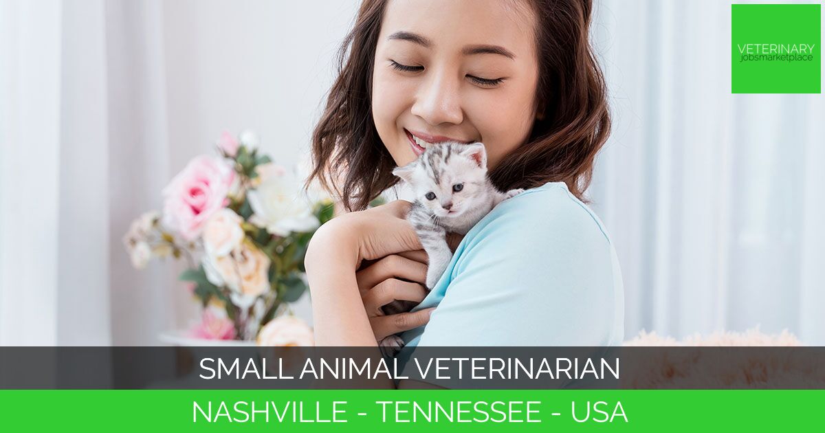 Small Animal Veterinarian