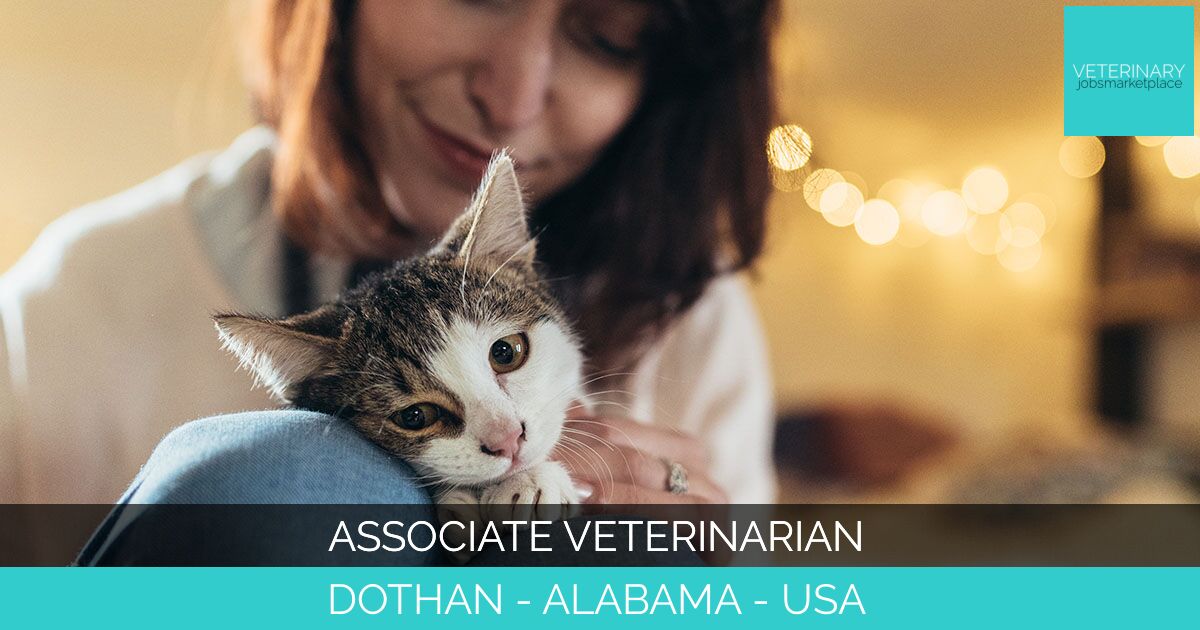 Associate Veterinarian