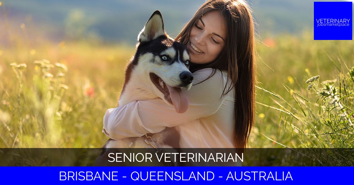 Senior Veterinarian
