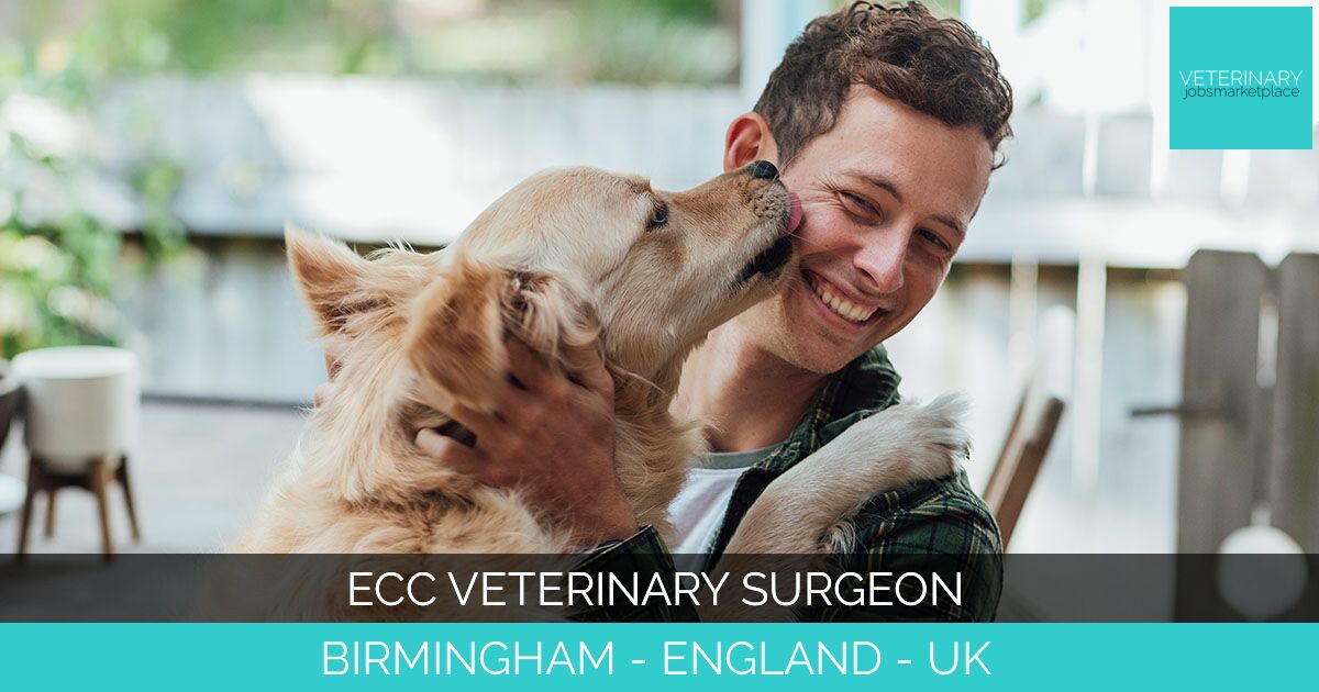 ECC Veterinary Surgeon