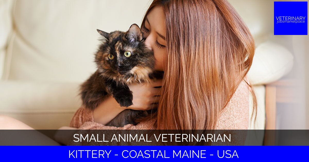 Small Animal Veterinarian