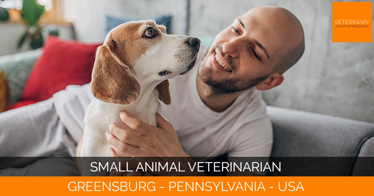 Small Animal Veterinarian