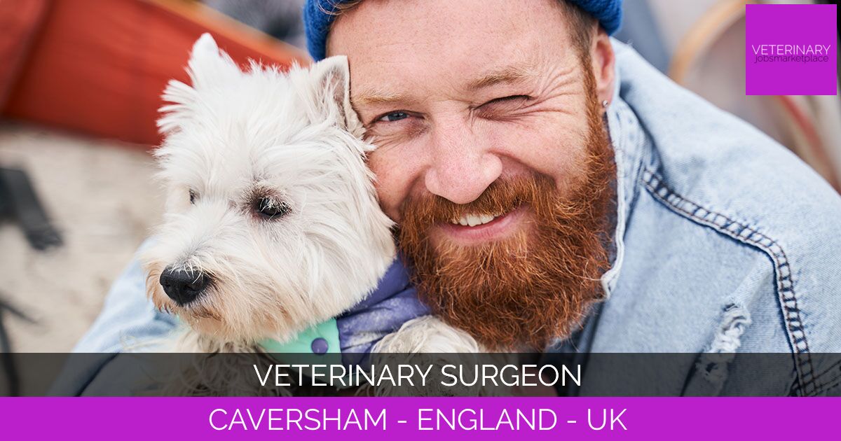 Veterinary Surgeon