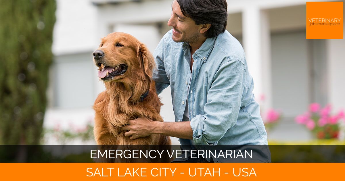 Emergency Veterinarian